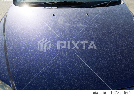自動車ボンネットの汚れ 137891664