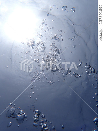水面が近い 水面が近い 137891899