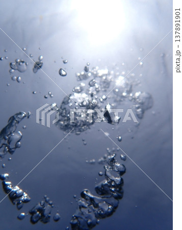 霞む水中 霞む水中 137891901