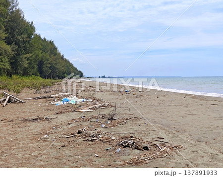 Polluted sandy beach shoreline covered with plastic waste and natural debris Polluted sandy beach shoreline covered with plastic waste and natural debris 137891933