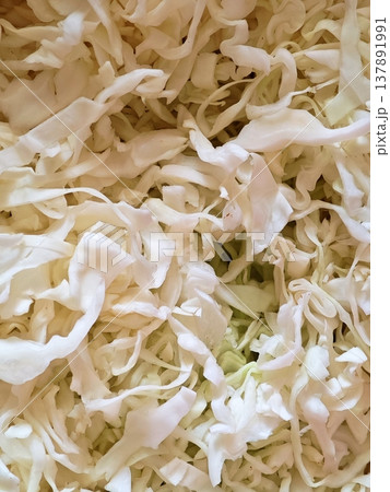 Shredded Cabbage Fresh Texture Ingredient for Healthy Food Background Shredded Cabbage Fresh Texture Ingredient for Healthy Food Background 137891991