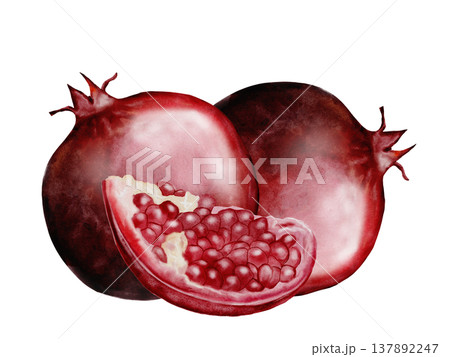 Pomegranate fruit watercolor composition. Realistic botanical illustration on a white background. Perfect for packaging design, organic cosmetics, invitations, and wellness branding. Handmade. Pomegranate fruit watercolor composition. Realistic botanical illustration on a white background. Perfect for packaging design, organic cosmetics, invitations, and wellness branding. Handmade. 137892247