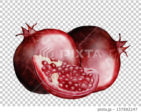 Pomegranate fruit watercolor composition. Realistic botanical illustration on a white background. Perfect for packaging design, organic cosmetics, invitations, and wellness branding. Handmade. Pomegranate fruit watercolor composition. Realistic botanical illustration on a white background. Perfect for packaging design, organic cosmetics, invitations, and wellness branding. Handmade. 137892247