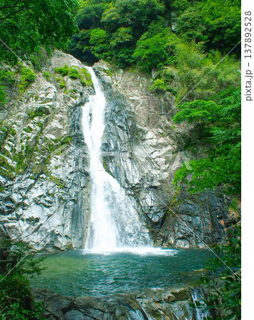 神戸  布引滝 瀑布1 137892528