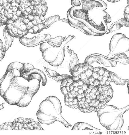 Seamless pattern of the cauliflower, garlic and bell pepper. Vector ink styled illustration. For packaging design, cards, cover, prints, product labels and fabric. Seamless pattern of the cauliflower, garlic and bell pepper. Vector ink styled illustration. For packaging design, cards, cover, prints, product labels and fabric. 137892729