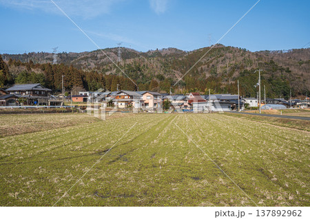 奥琵琶湖の田園風景 滋賀県長浜市西浅井町 奥琵琶湖の田園風景 滋賀県長浜市西浅井町 137892962