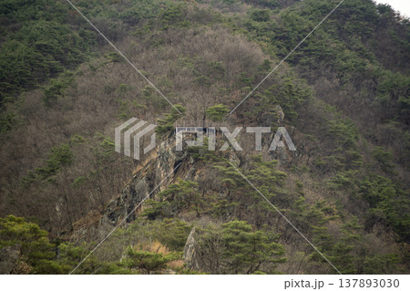 Saejae Bicycle Path 137893030