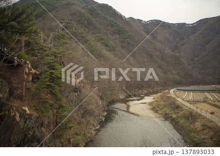 Saejae Bicycle Path 137893033