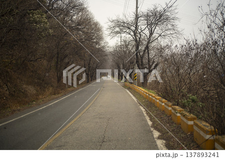 Saejae Bicycle Path Saejae Bicycle Path 137893241