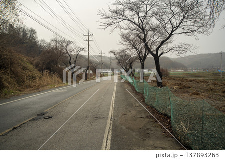 Saejae Bicycle Path Saejae Bicycle Path 137893263