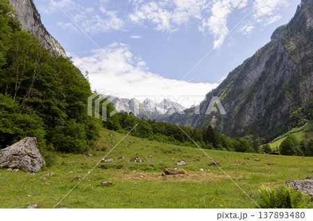 Picturesque view of lake Obersee, lake Konigssee, in the Berchtesgaden Alps, Bavaria, Germany 137893480