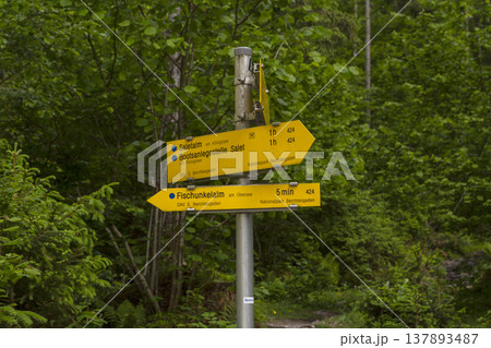 Signposts at lake Obersee, lake Konigssee, in the Berchtesgaden Alps, Bavaria, Germany 137893487