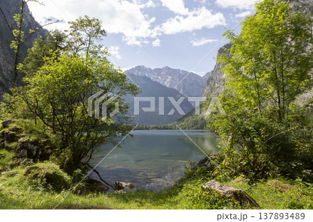 Picturesque view of lake Obersee, lake Konigssee, in the Berchtesgaden Alps, Bavaria, Germany Picturesque view of lake Obersee, lake Konigssee, in the Berchtesgaden Alps, Bavaria, Germany 137893489