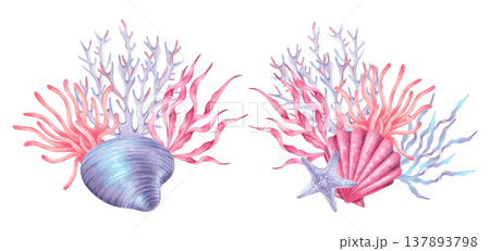 omposition of a shell, coral, starfish and seaweed. Coral reef with underwater animals. Hand drawn watercolor illustration. Mediterranean style. Art for children products, marine, tropical design. omposition of a shell, coral, starfish and seaweed. Coral reef with underwater animals. Hand drawn watercolor illustration. Mediterranean style. Art for children products, marine, tropical design. 137893798