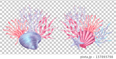 omposition of a shell, coral, starfish and seaweed. Coral reef with underwater animals. Hand drawn watercolor illustration. Mediterranean style. Art for children products, marine, tropical design. omposition of a shell, coral, starfish and seaweed. Coral reef with underwater animals. Hand drawn watercolor illustration. Mediterranean style. Art for children products, marine, tropical design. 137893798