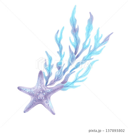 Composition of a starfish and seaweed. Marine animal from the underwater world. Hand drawn watercolor illustration. Mediterranean style. Shell for children's products, marine design and packaging. 137893802