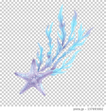 Composition of a starfish and seaweed. Marine animal from the underwater world. Hand drawn watercolor illustration. Mediterranean style. Shell for children's products, marine design and packaging. 137893802