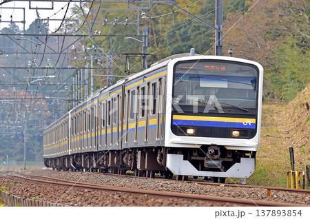 総武本線　四街道－物井　JR東日本　209系　C422編成（幕張） 137893854