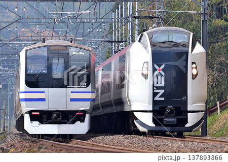 総武本線　四街道－物井　JR東日本　E259系　Ne017編成（鎌倉）　E217系　Y-31編成 137893866