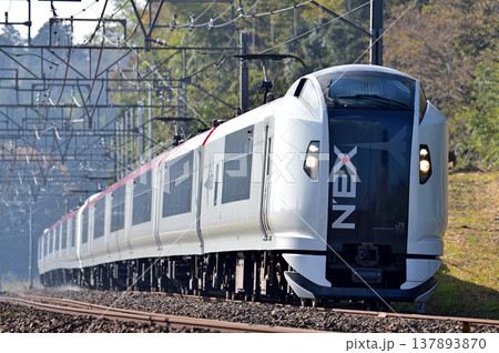 総武本線　四街道－物井　JR東日本　E259系　Ne004編成（鎌倉）　成田エクスプレス　NEX 137893870