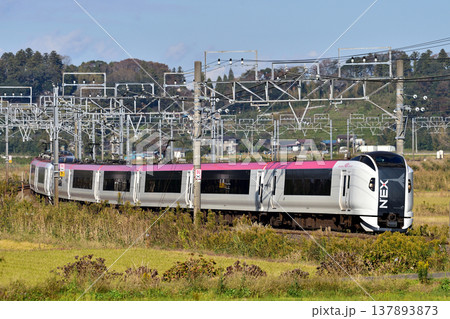 総武本線　佐倉－物井　JR東日本　E259系　Ne016編成（鎌倉）　成田エクスプレス　NEX 137893873