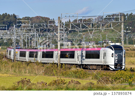 総武本線　佐倉－物井　JR東日本　E259系　Ne007編成（鎌倉）　成田エクスプレス　NEX 137893874