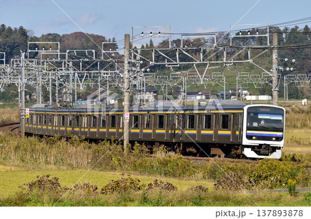 総武本線 佐倉-物井 JR東日本 209系 C619編成(幕張) 総武本線 佐倉-物井 JR東日本 209系 C619編成(幕張) 137893878