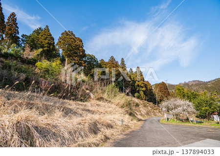 奥琵琶湖の里山風景　滋賀県長浜市西浅井町 137894033