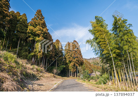 奥琵琶湖の里山風景　滋賀県長浜市西浅井町 137894037