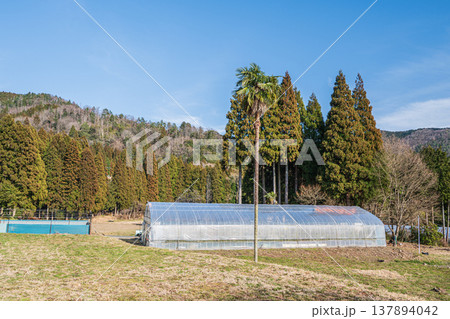 奥琵琶湖の里山風景　滋賀県長浜市西浅井町 137894042