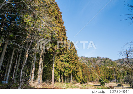 奥琵琶湖の里山風景 滋賀県長浜市西浅井町 奥琵琶湖の里山風景 滋賀県長浜市西浅井町 137894044