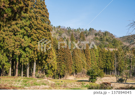 奥琵琶湖の里山風景 滋賀県長浜市西浅井町 奥琵琶湖の里山風景 滋賀県長浜市西浅井町 137894045