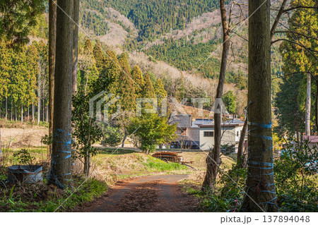 奥琵琶湖の里山風景 滋賀県長浜市西浅井町 奥琵琶湖の里山風景 滋賀県長浜市西浅井町 137894048