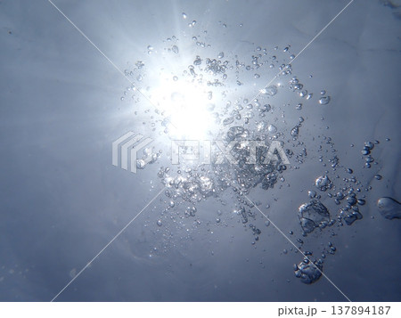 水中から見る光 水中から見る光 137894187