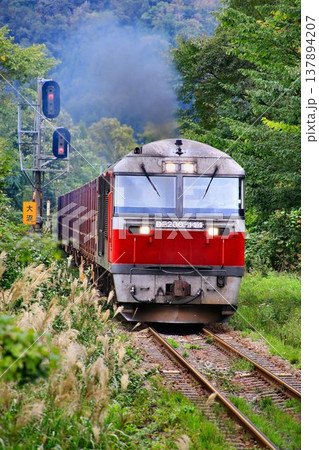 北の大地を縦横無尽に大活躍… 北海道の物流をコンテナ貨物列車で支える『DF200ディーゼル機関車』 137894207