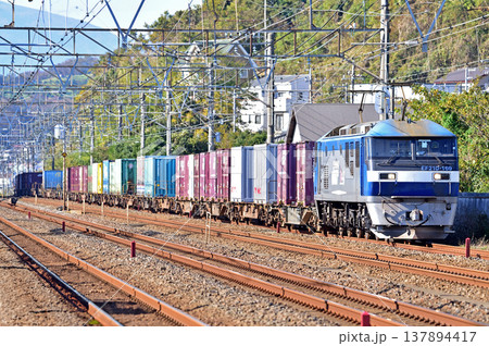 東海道本線 大磯-二宮 JR貨物 EF210-169(岡山) 東海道本線 大磯-二宮 JR貨物 EF210-169(岡山) 137894417