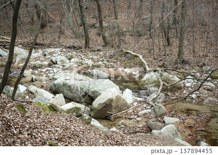 Mungyeongsaejae Mungyeongsaejae 137894455