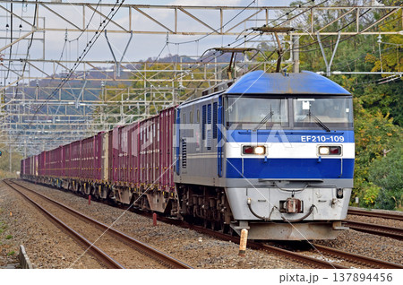 東海道本線　二宮－国府津　JR貨物　EF210-109（吹田） 137894456