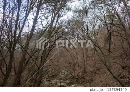 Mungyeongsaejae Mungyeongsaejae 137894549
