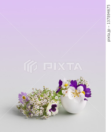 White Easter eggs with spring pear and strawberry, purple viola flowers on a gray purple gradient background. Happy Easter greeting card with a place for text. White Easter eggs with spring pear and strawberry, purple viola flowers on a gray purple gradient background. Happy Easter greeting card with a place for text. 137894675