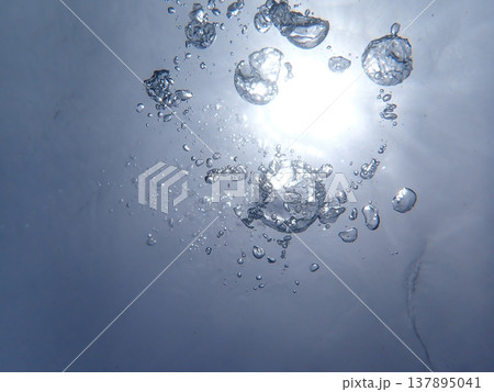 水中で自然に任せる。 水中で自然に任せる。 137895041