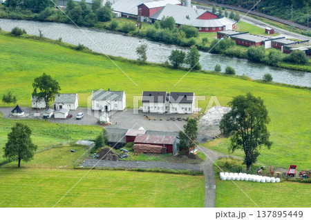 Rural Norwegian houses and green fields 137895449