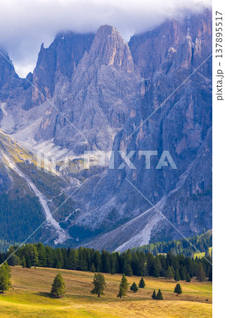 Sassolungo Langkofel massif in Dolomites Italy Sassolungo Langkofel massif in Dolomites Italy 137895517