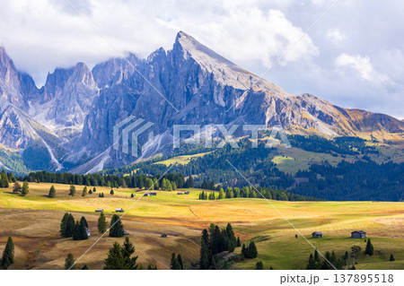 Sassolungo mountains in Dolomites South Tyrol Italy 137895518