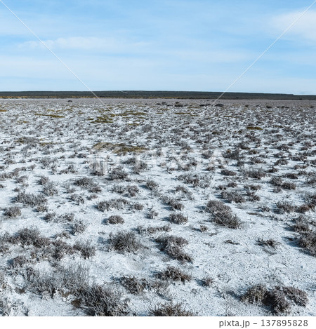 Salty soil in a dry lagoon, in the south of the province of La Pampa, Patagonia, Argentina. 137895828