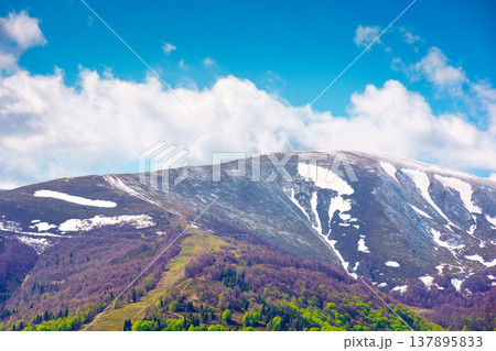 nature image of borzhava ridge with snow capped tops in spring landscape. mountain background wallpaper. greenery scenery with forested slopes under blue sky with clouds on sunny weather nature image of borzhava ridge with snow capped tops in spring landscape. mountain background wallpaper. greenery scenery with forested slopes under blue sky with clouds on sunny weather 137895833
