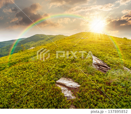 mountain landscape during summer at sunset. alpine meadows on green slopes and hills in evening light. amazing adventure scenery under rainbow. exploration of remote highland location for inspiration 137895852