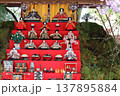 春の風景/美しいお雛様 137895884