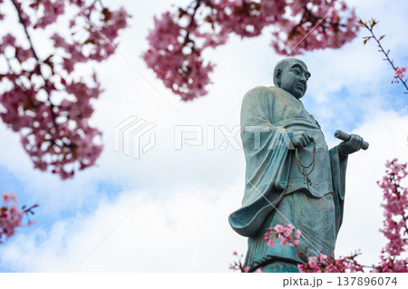 福を呼ぶ笑顔、桜に包まれる日蓮聖人像 137896074