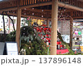 春の風景/雛祭り 137896148
